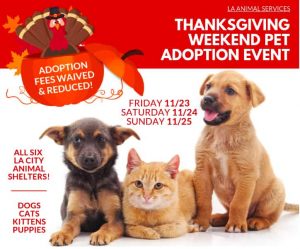 LA Animal Services