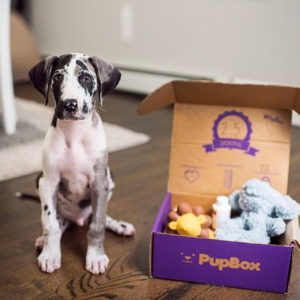 Petco PupBox at Petco pet store near Circa residences in Downtown Los Angeles