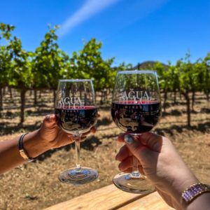 Agua Dulce Winery near Circa residences in Downtown Los Angeles